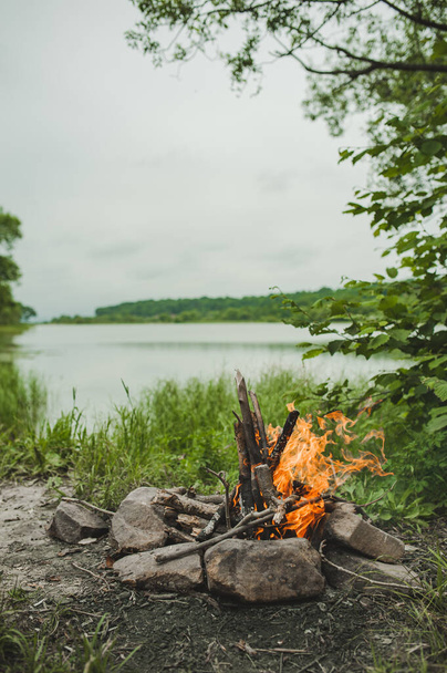burning fire with wood and bright orange flame in green summer forest near lake, summer sea camping, vertical - Foto, Imagem