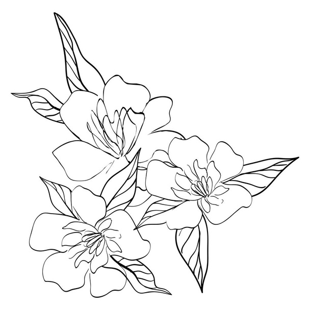 Bouquet of flowers. Collection of vector sketches and line art illustrations. Isolated botanical elements. - Vector, Image