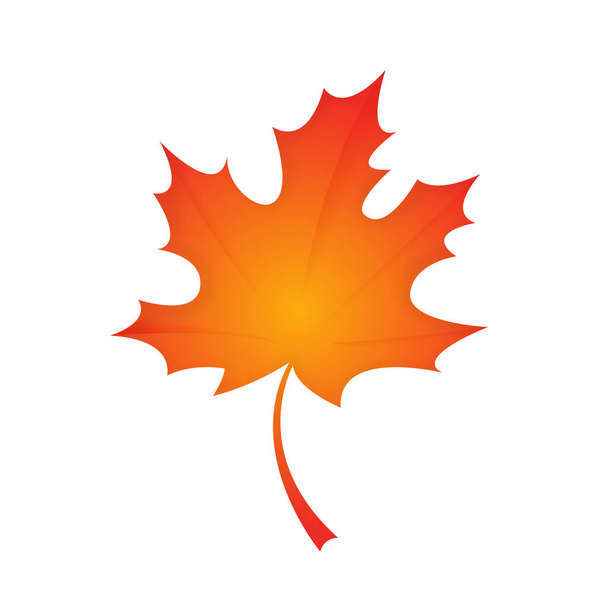 Herfst esdoorn blad geïsoleerd op een witte achtergrond - Vector, afbeelding