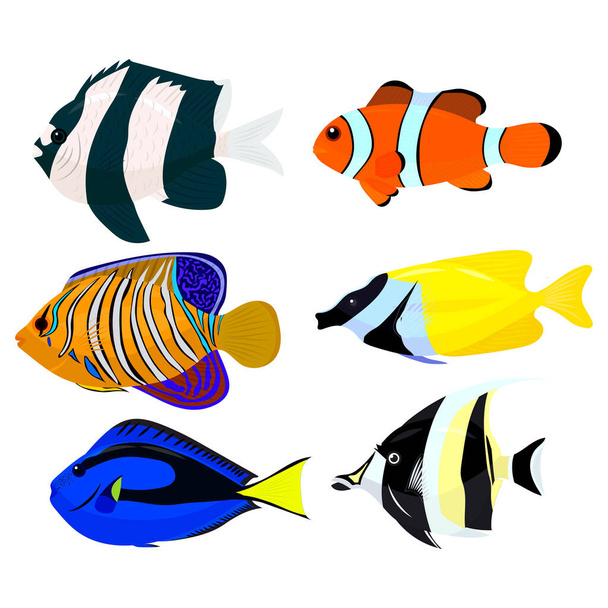seamless pattern with colorful fish. vector illustration - Vektor, Bild