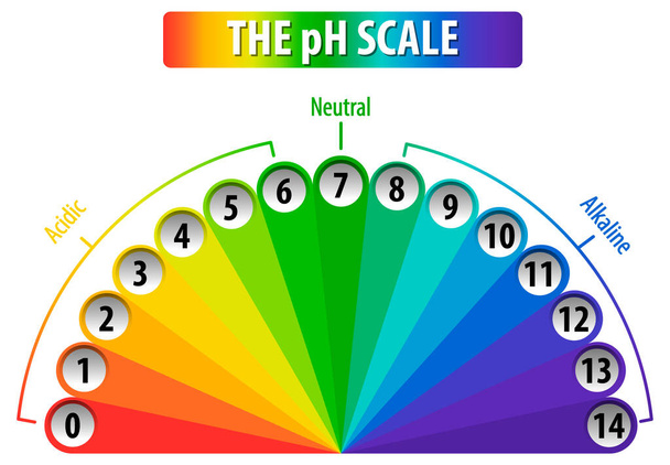 Skala pH na białym tle ilustracji - Wektor, obraz