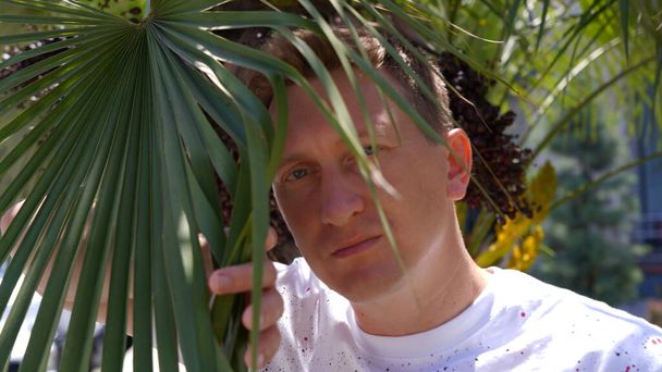 un homme regardant par derrière un palmier - Photo, image