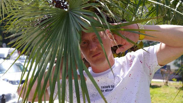 a man looking from behind a palm tree - Photo, Image