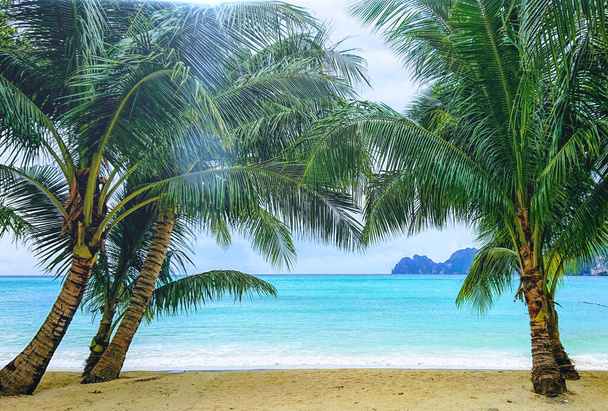 ヤシの木と空の背景を持つ熱帯ビーチ島の夏の海美しい海岸白い砂と青い海. - 写真・画像