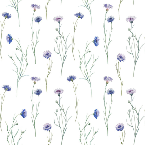 Beautiful seamless floral pattern with hand drawn watercolor gentle wild field flowers cornflower. Stock illuistration. - Photo, Image