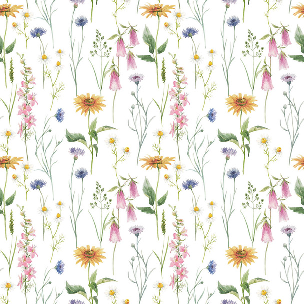 Beautiful seamless floral pattern with hand drawn watercolor gentle wild field flowers cornflower. Stock illuistration. - Zdjęcie, obraz