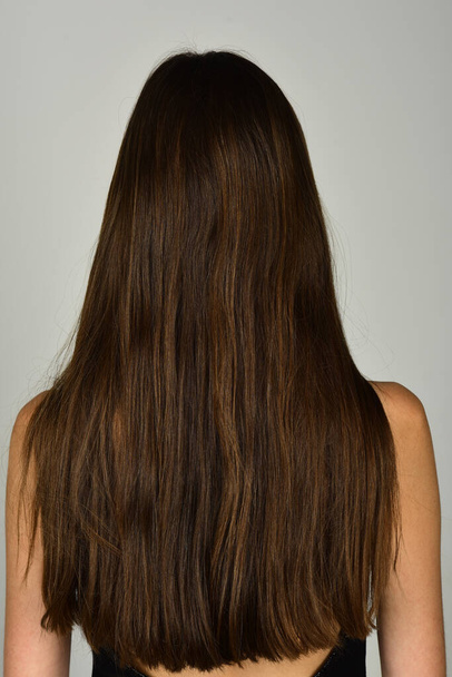Woman hair back. Health long hair concept. - Fotografie, Obrázek