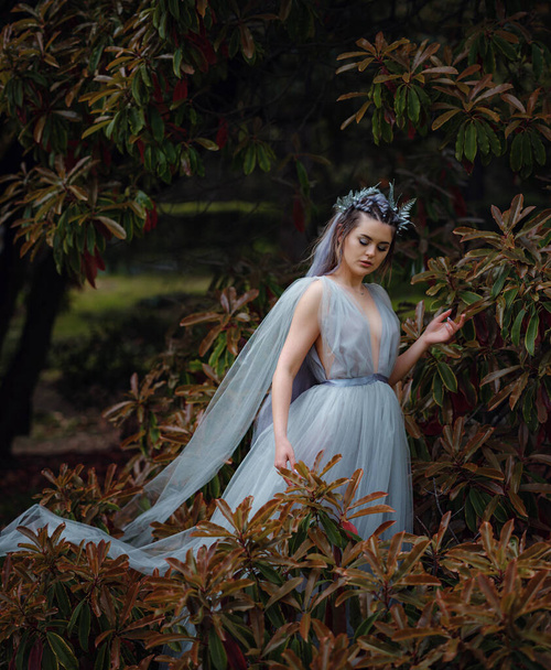 公園を歩く妖精やニンフのような美しい女性。おとぎ話のイメージアート写真。森のニンフ美しい珍しい木の近くに - 写真・画像