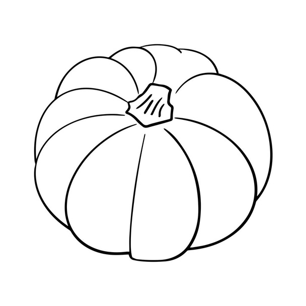 Kürbisvektorillustration in schwarzer Umrandung isoliert auf weißem Hintergrund. Einfache handgezeichnete Skizze Herbst Ernte dekoratives Gestaltungselement Gemüse Silhouette - Vektor, Bild