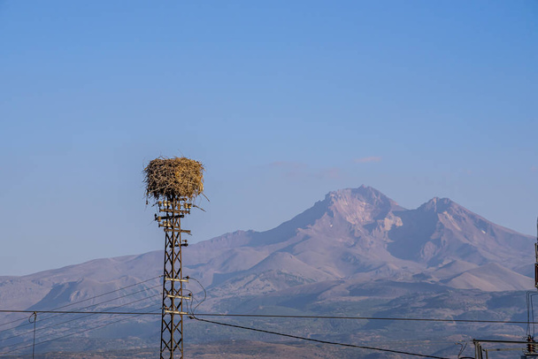 A stork's nest on a transmission tower outdoors - Fotoğraf, Görsel