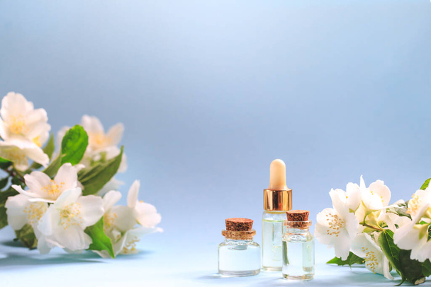 Tender jasmijn bloemen en olie. Kleine fles met cosmetische (reinigende) aromaolie en witte jasmijnbloemen. Natuurlijke huidverzorging, zelfgemaakte spa en schoonheidsbehandeling recept. Kopieerruimte - Foto, afbeelding