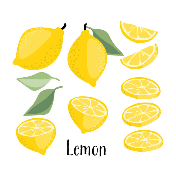 Коллекция фруктов лимона на белом фоне. Векторная иллюстрация. - Вектор,изображение