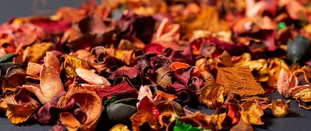 A narrow panorama of the background of dry flowers of red and orange flowers. - Photo, Image