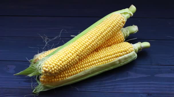 Mano toma mazorca de maíz sobre fondo oscuro - Metraje, vídeo