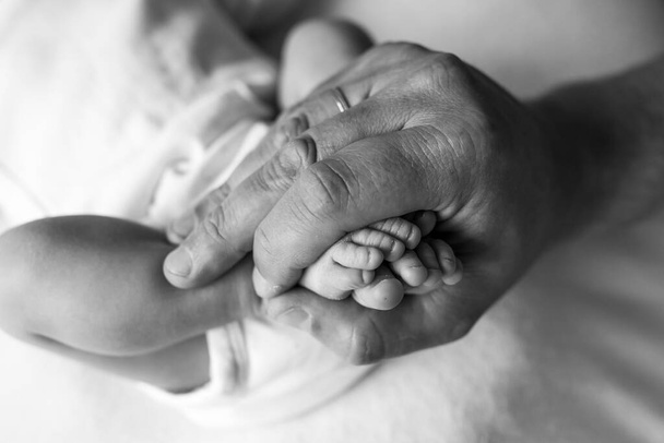 mani dei genitori. le gambe del neonato nelle mani di mamma e papà. gambe di babys nelle sue mani. immagini in bianco e nero - Foto, immagini