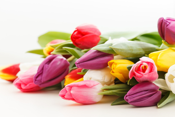 Nice tulips - Zdjęcie, obraz