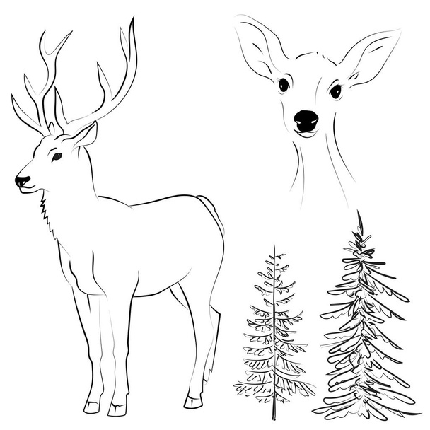 鹿のコレクション、松の木のエレガントなアウトラインの図面。ベクターイラスト - ベクター画像