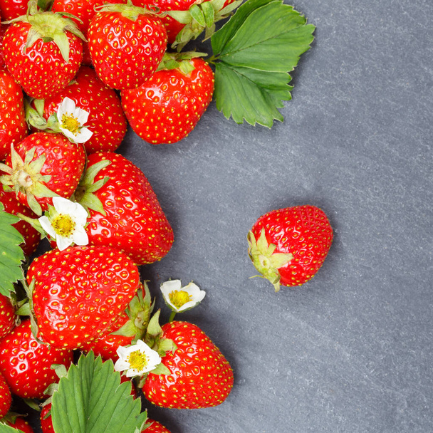 Strawberries berries fruits strawberry berry fruit copyspace copy space on a slate square food - Foto, afbeelding