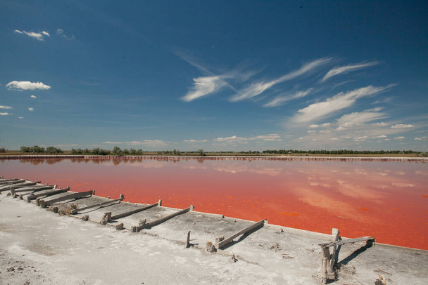 Ροζ λίμνη που βρίσκεται κοντά στο Kinburn φτύνουν στην περιοχή Kherson - Φωτογραφία, εικόνα