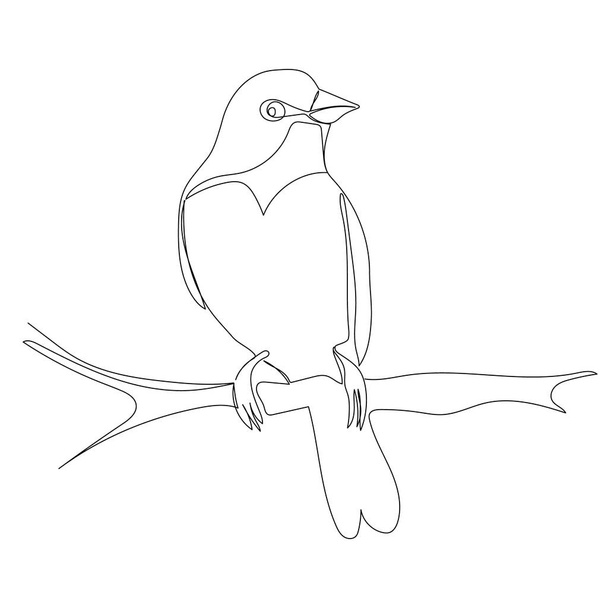 oiseau sur un dessin de branche par un croquis linéaire continu, isolé - Vecteur, image