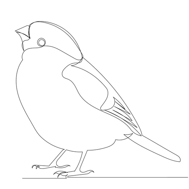 dibujo del pájaro por una línea continua bosquejo, aislado, vector - Vector, Imagen