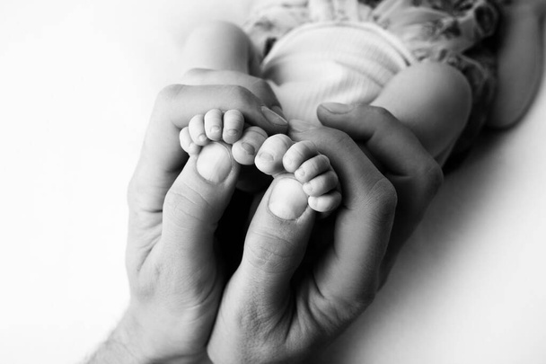 Female hands of young mother holding her newborn baby feet, closeup image with blur baby in background - Photo, Image