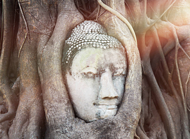 Boeddha Hoofd standbeeld met gevangen in Bodhi Boomwortels bij Wat Maha Dat in het Ayutthaya Historisch Park in Ayutthaya., AYUTTHAYA, THAILAND. - Foto, afbeelding