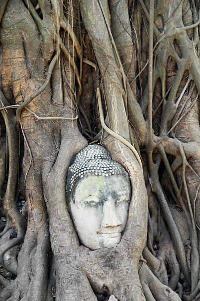Статуя Будды головы с ловушкой в бодхи корни дерева в Ват-Маха, что в историческом парке Аюттхая в Аюттхая., Аюттхая, Таиланд. - Фото, изображение