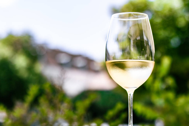 Weißwein im Luxusrestaurant auf Sommergartenterrasse, Weinverkostung im Weingut im Weinberg, Gourmettour und Urlaubsreise - Foto, Bild