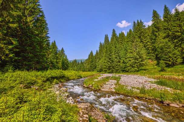 Krásná horská krajina se zeleným lesem a řekou - Fotografie, Obrázek