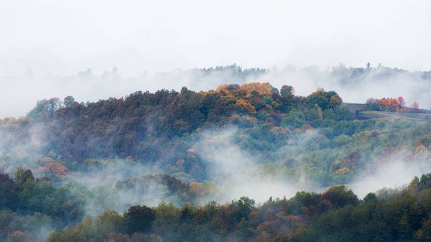 Fog and clouds rising from an autumn forest - Фото, изображение