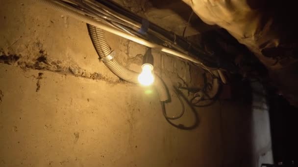 Take walk through an old dark underground basement or closet in an old house. - Footage, Video