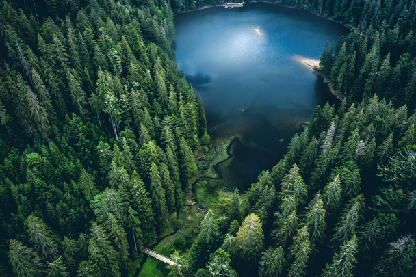 Lake Synevir in Carpathian Mountains - Foto, Imagem