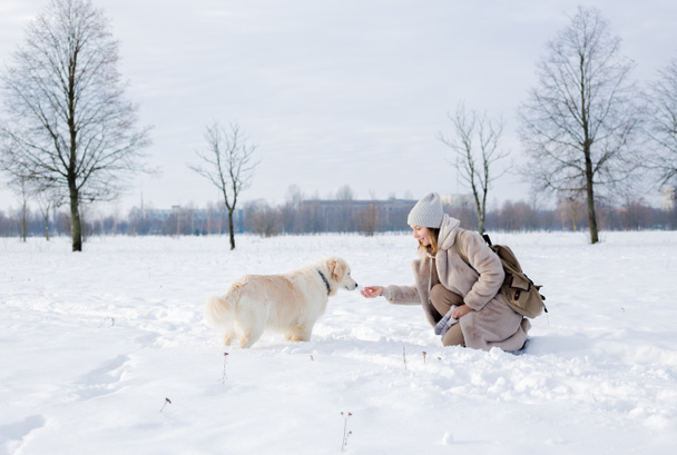 Fiatal gyönyörű nő és az ő golden retriever kutya szórakozás télen. - Fotó, kép