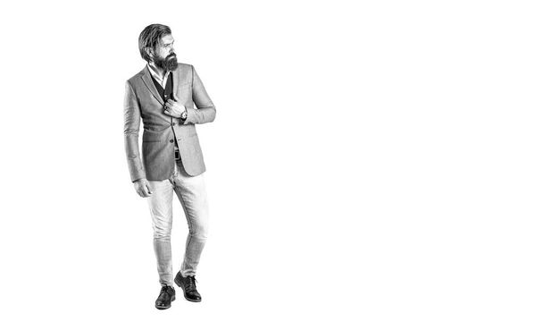 Classy style. Man bearded hipster wear classic suit outfit. Formal