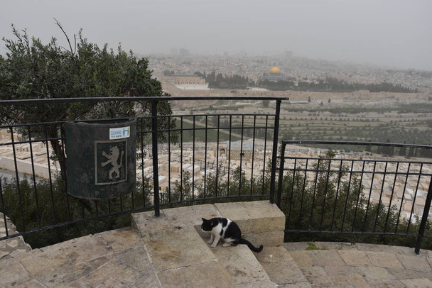 Jerusalem Israel 27 March 2021: view of the old city on a foggy day. High quality photo - Photo, Image