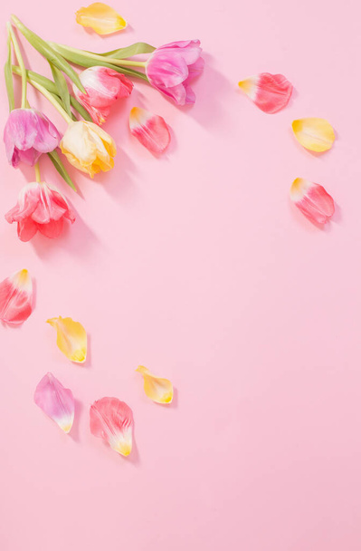 spring flowers on pink background - Foto, Imagen