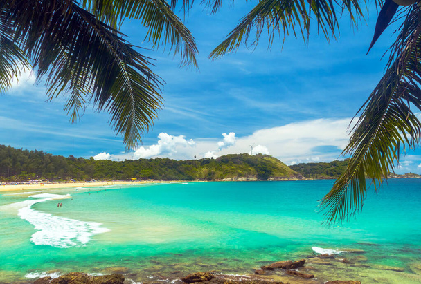 Пальмовые листья на фоне морского пляжа и красивой воды - Фото, изображение