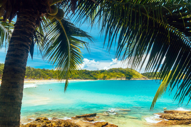 Foglie di palma sullo sfondo della spiaggia del mare e bella acqua - Foto, immagini
