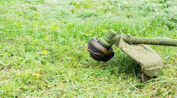 Trimmer sluit het gras af met een grasmaaier. Tuinieren met een borstelsnijder Close-up. Gazononderhoud met borstelscharen - Foto, afbeelding