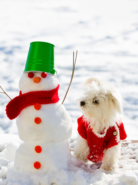 zimní radovánky, Vánoce - roztomilé štěně s sněhulák - Fotografie, Obrázek