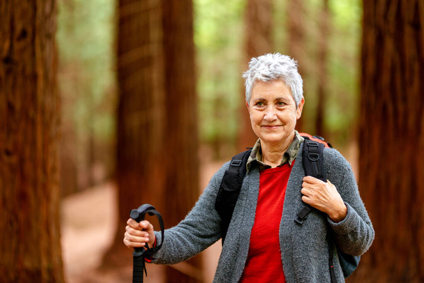 staruszka z siwymi włosami i plecakiem, wykonuje ćwiczenia spacerując po lesie. Emerytura i zdrowe życie. - Zdjęcie, obraz