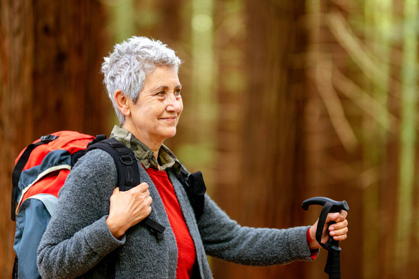 oude vrouw met grijs haar en rugzak, voert oefening wandelen door een bos. Pensioen en gezond leven. - Foto, afbeelding
