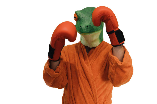 hombre con una máscara de rana en la cabeza con un albornoz de color y guantes de boxeo en las manos entrenando sobre fondo blanco y espacio de copia - Foto, Imagen