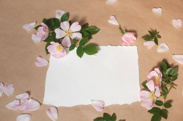 tyhjä paperi, vaaleanpunainen silmut kukkia ja ruusun terälehtiä, vihreät lehdet levitetään beige tausta - Valokuva, kuva