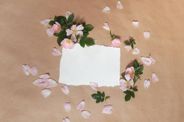 пустая бумага, розовые почки цветы и лепестки роз, зеленые листья разбросаны на бежевом фоне - Фото, изображение