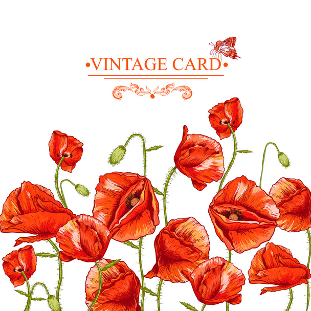 Bunch of Beautiful Red Poppy ilustração vetorial
 - Vetor, Imagem