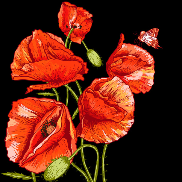 Bunch of Beautiful Red Poppy illustration vectorielle
 - Vecteur, image