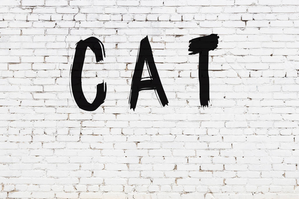 Inscription chat écrit avec de la peinture noire sur un mur de briques blanches. - Photo, image