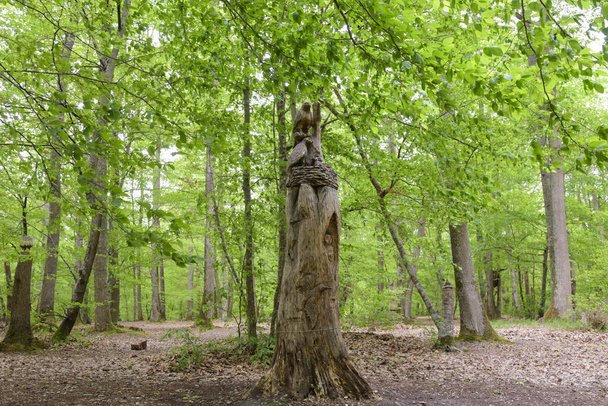 MONTARGIS - FRANCIE - KVĚTEN 2021: kmen stromu socha na lese Montarigs - Fotografie, Obrázek